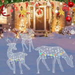 décoration jardin Noel lumineux