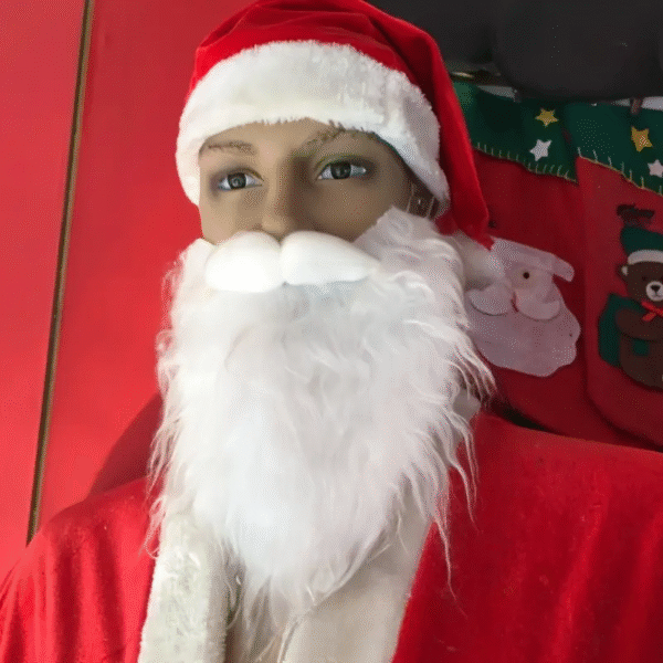 Barbe Pere Noel Realiste