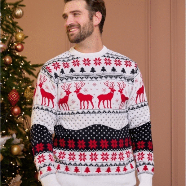 pull de Noel Homme motifs Rennes