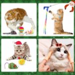 Surprises du Calendrier de l'avent chaton