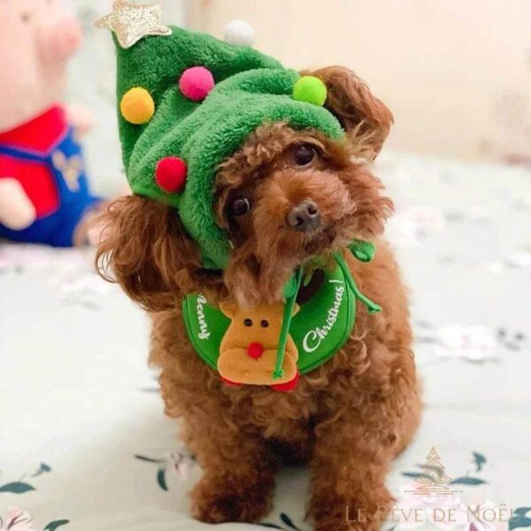 bonnet de Noël pour chien