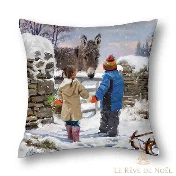 housse décorative 60 x 60