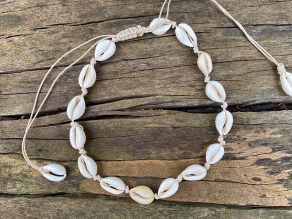 collier en coquillages cauris naturels