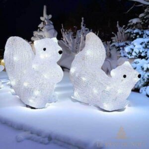 écureuil acrylique lumineux