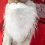 Déguisement avec Barbe Pere Noel