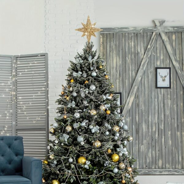 Etoile de Noel resplendissante