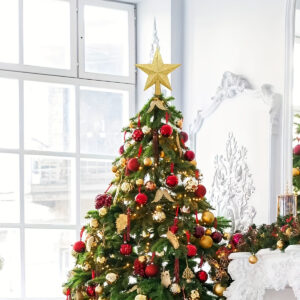 étoiles pour sapin de Noel
