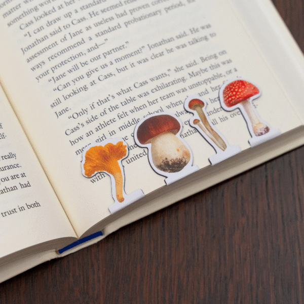 marque-page champignon magnétique